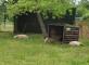Les moutons sont la !!! La Fontaine Médicis Gouvieux